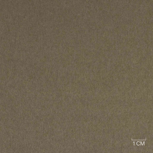 [353821] LIGHT BROWN, PLAIN