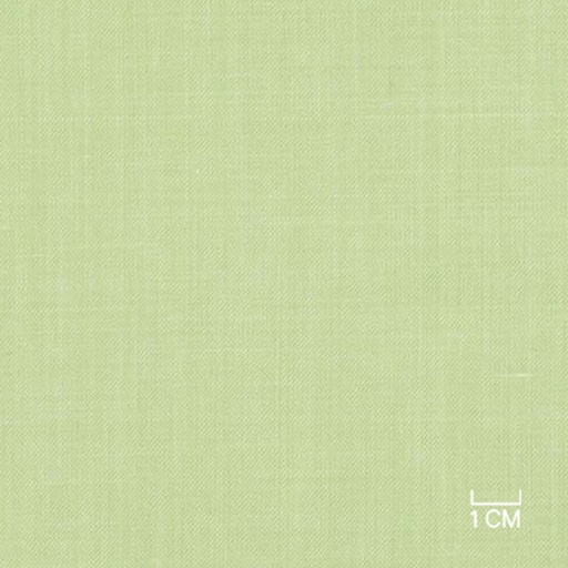 [406153] LIGHT GREEN,PLAIN (1/169)