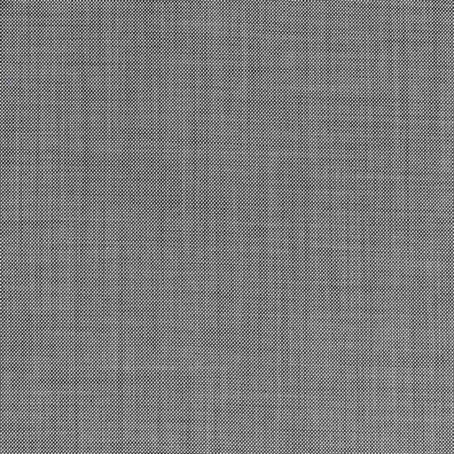 [660132] GREY,BIRDEYE
