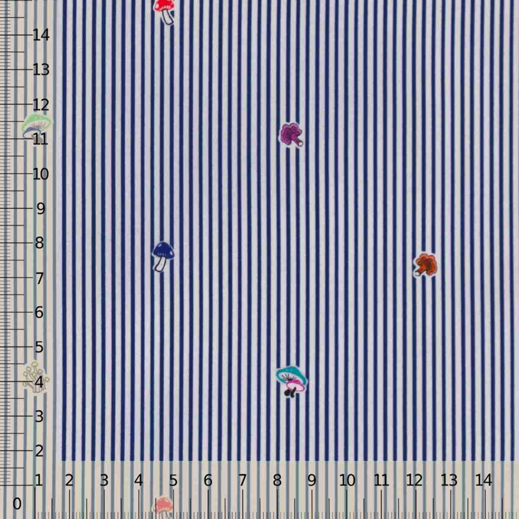 660503_1.jpg