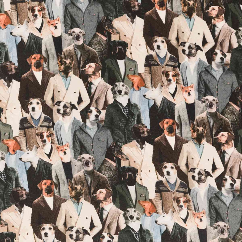DOGS IN SUITS