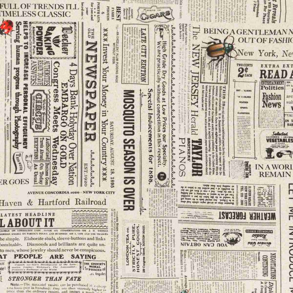 WHITE, NEWSPAPER AND INSECTS