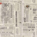 WHITE, NEWSPAPER AND INSECTS