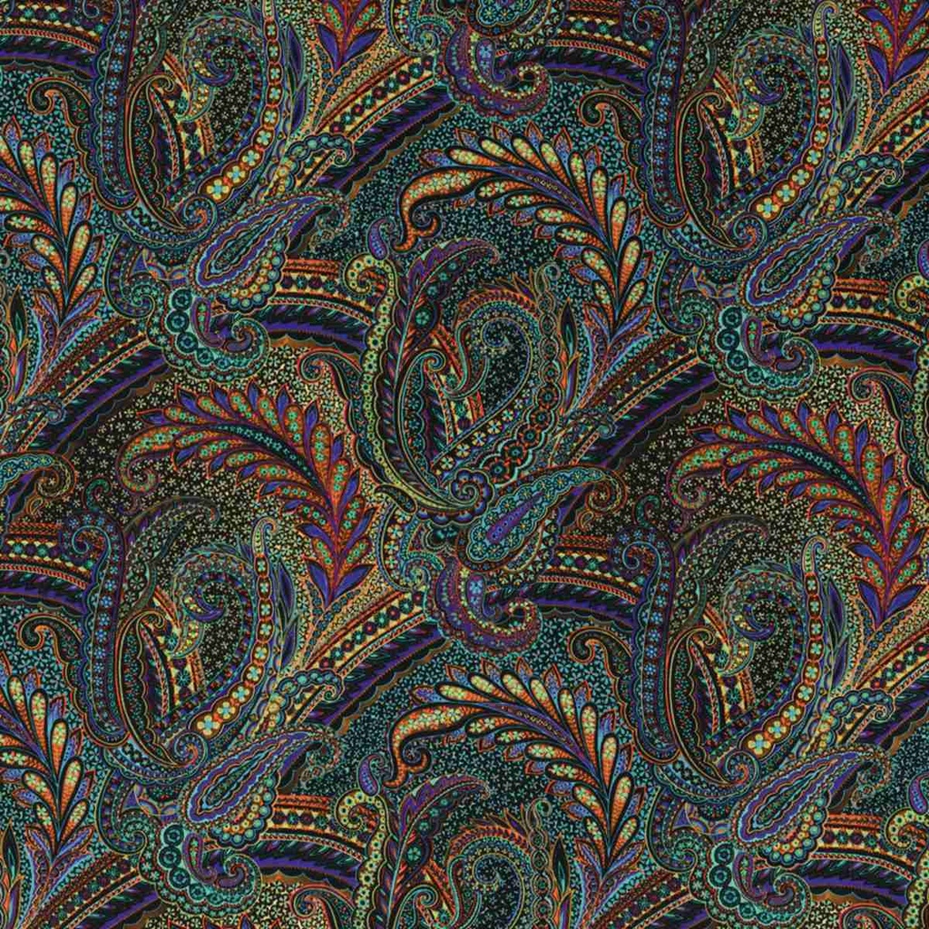 COLORFUL PAISLEY
