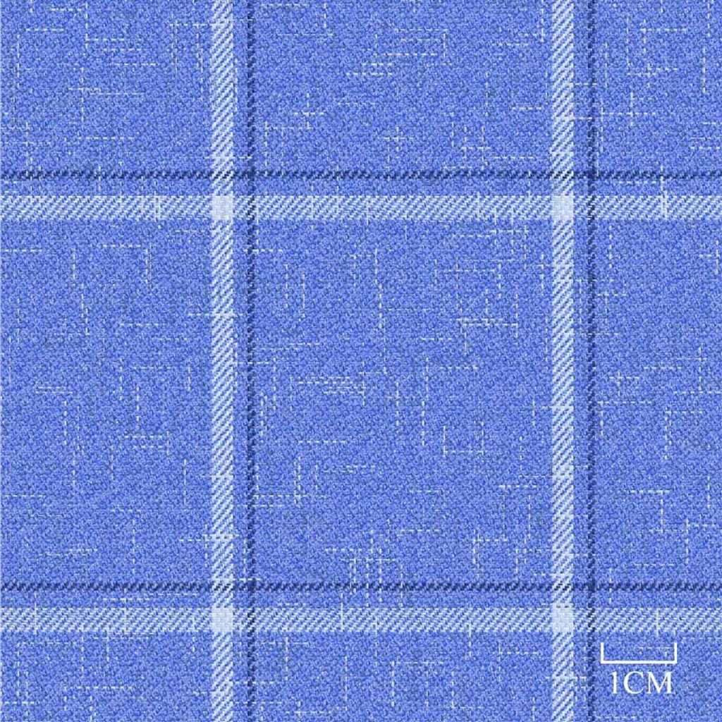 BLUE, CHECKS