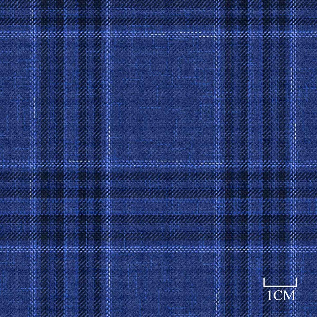 BLUE, CHECKS