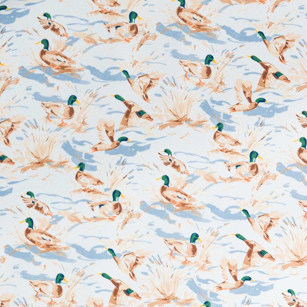 DUCKS