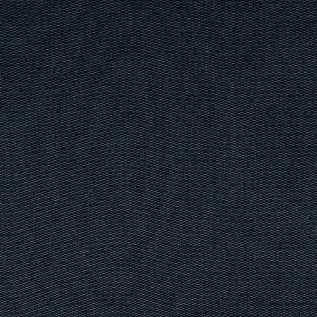 BLUE, BIRDEYE (ST# 24087)