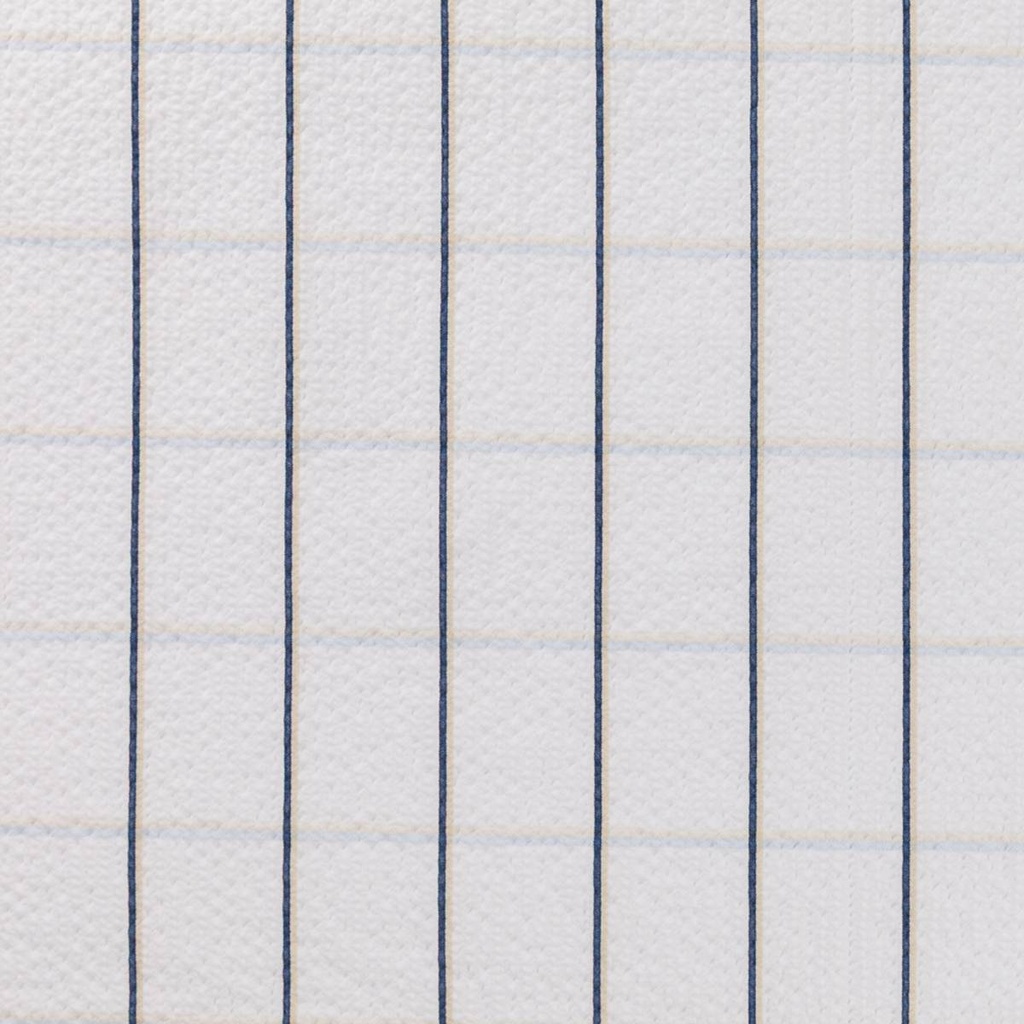 WHITE, NAVY CHECKS