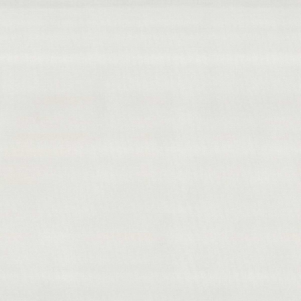 WHITE, PLAIN