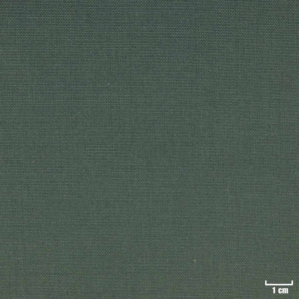 GREEN, PLAIN