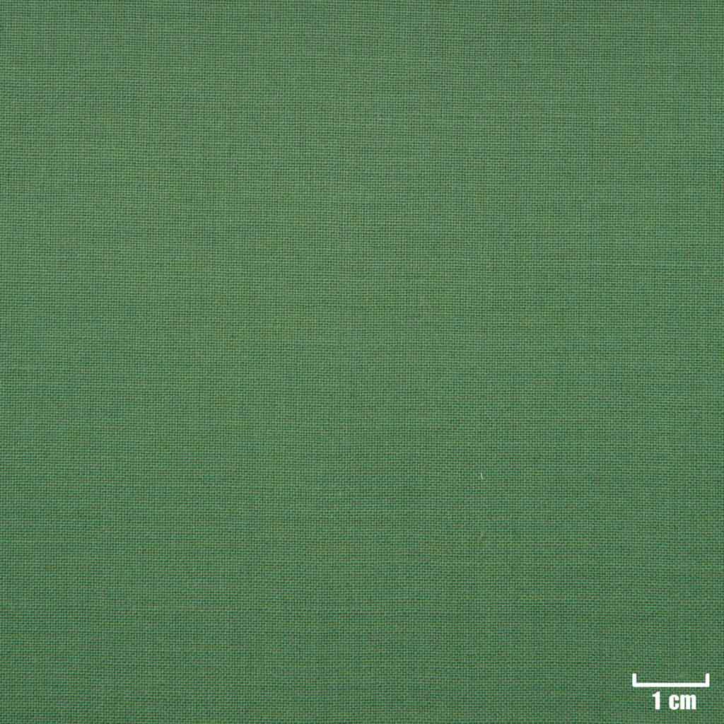GREEN, PLAIN