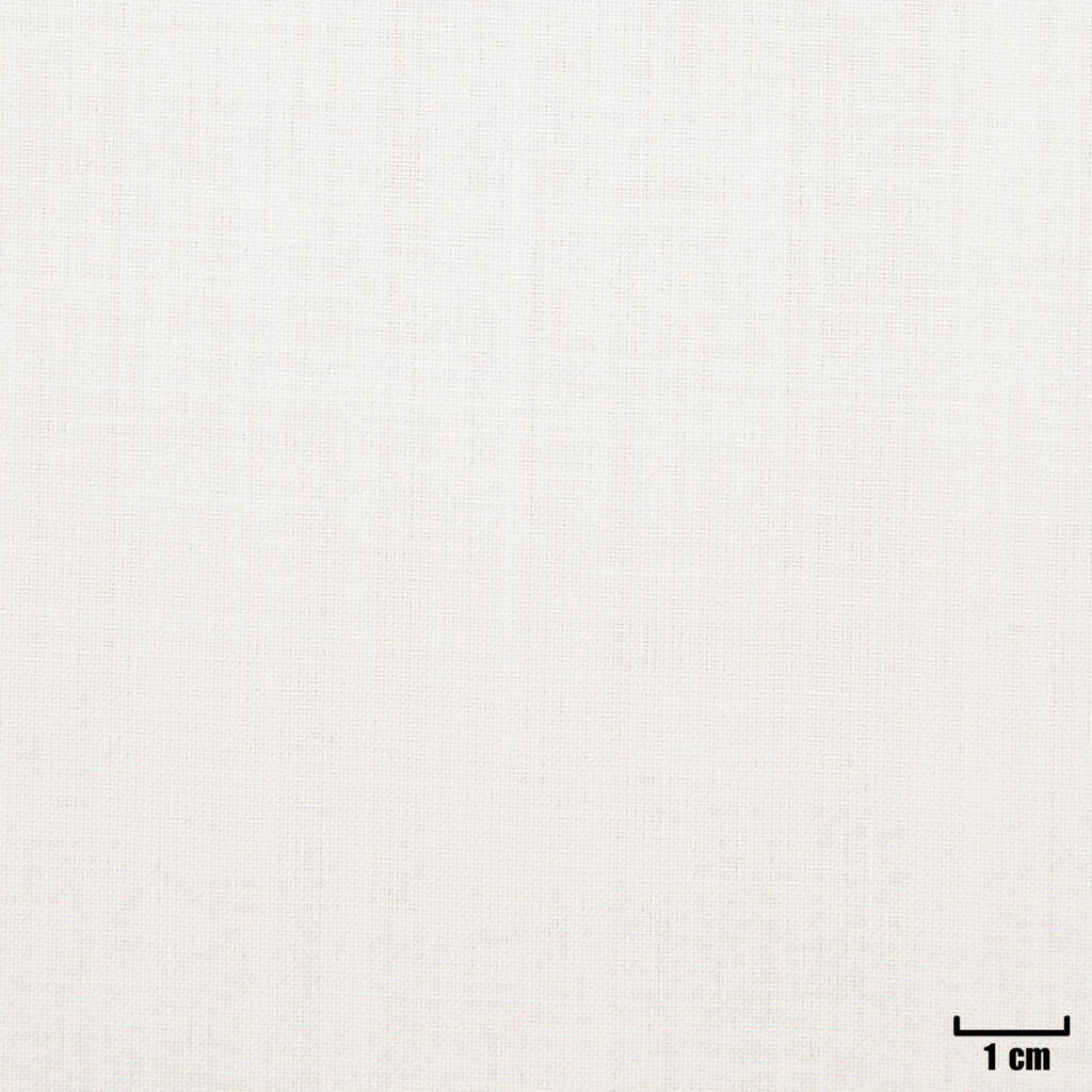 WHITE, PLAIN