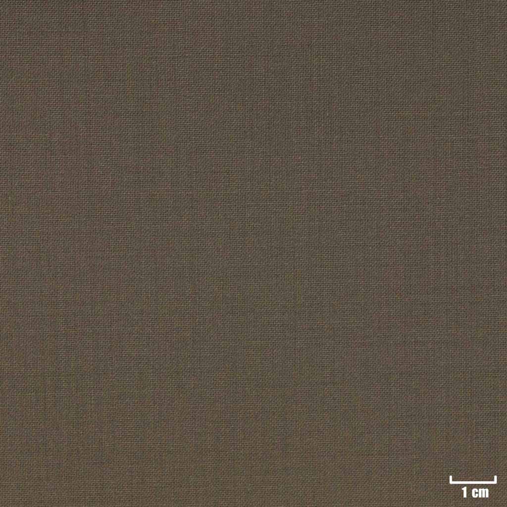 LIGHT BROWN, PLAIN