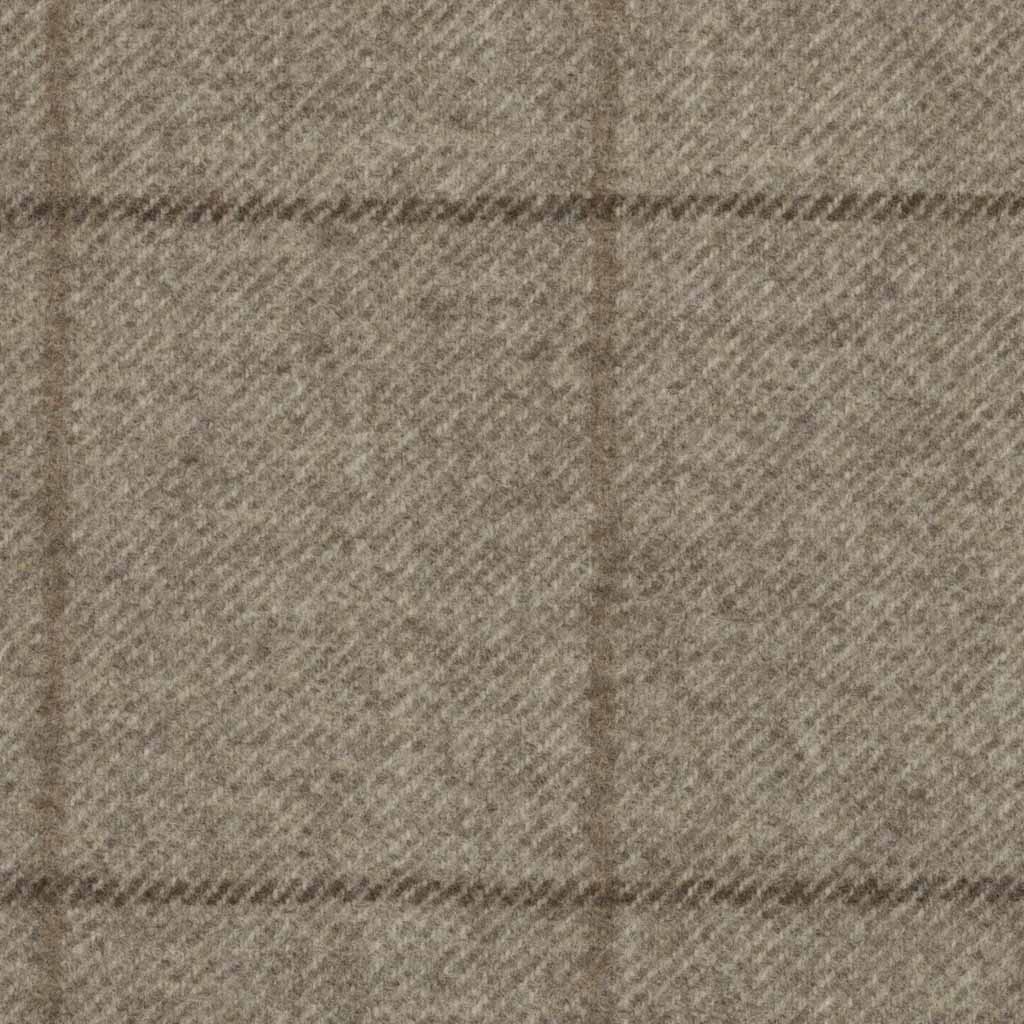 LIGHT BROWN, CHECKS