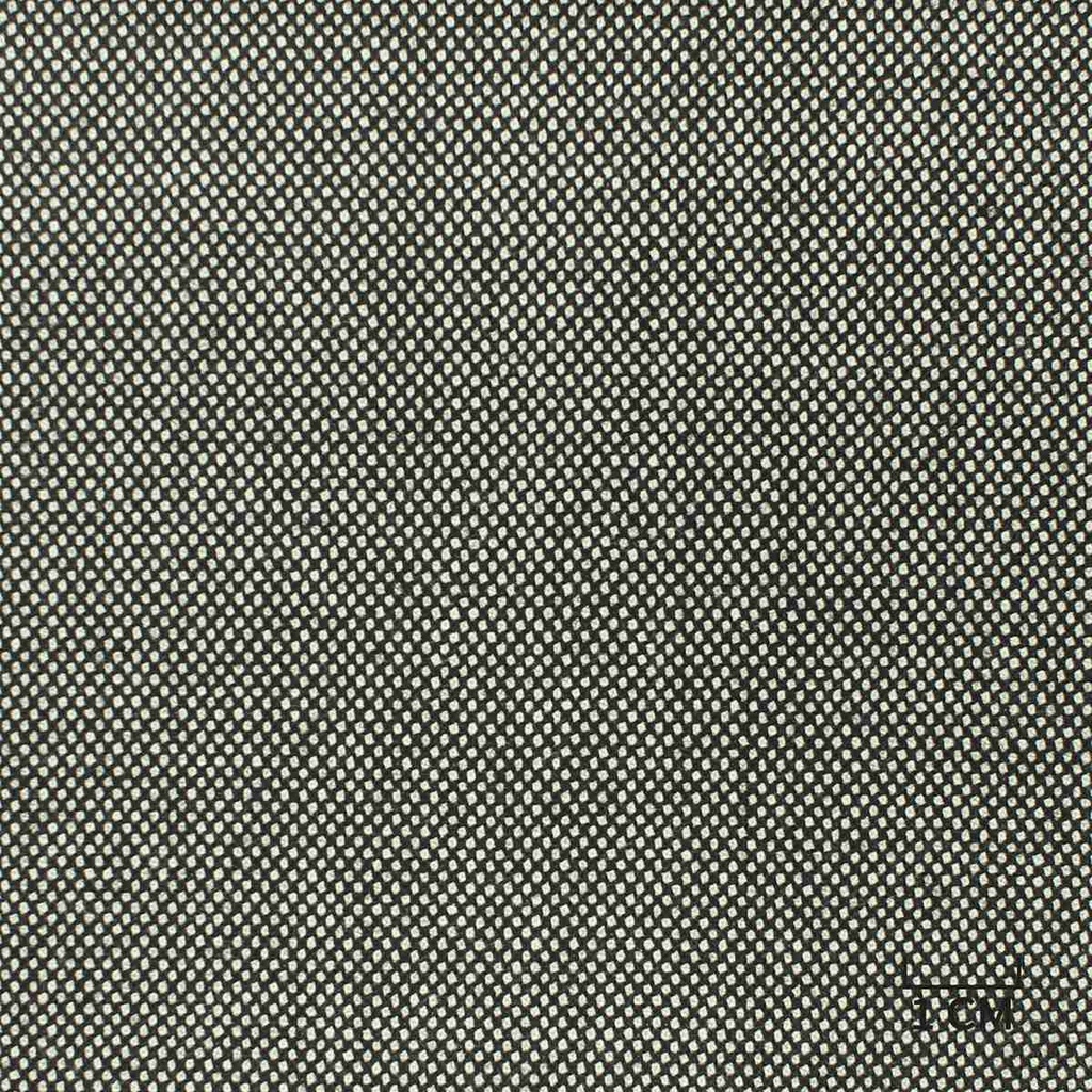 GREY, PURPLE BIRDEYE