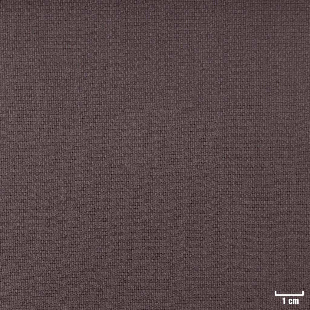 BROWN, PLAIN