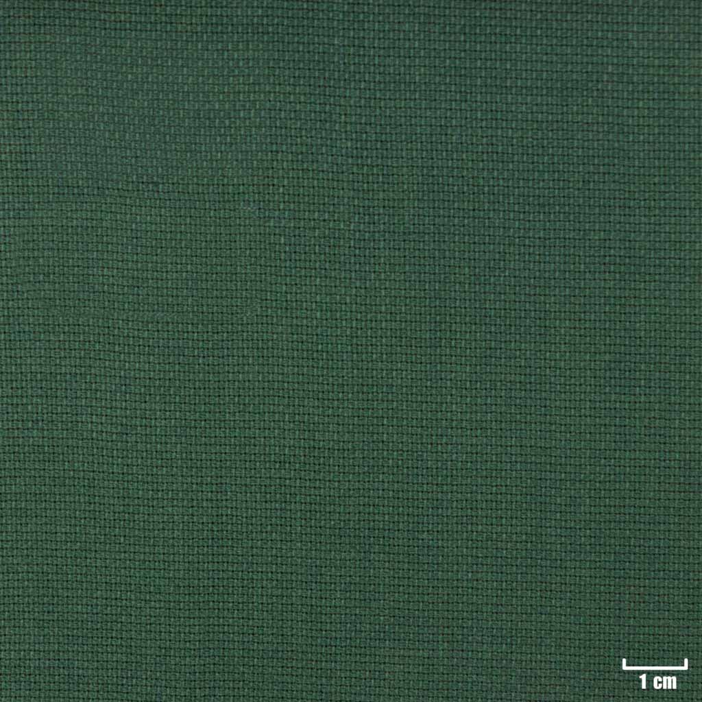 GREEN, PLAIN