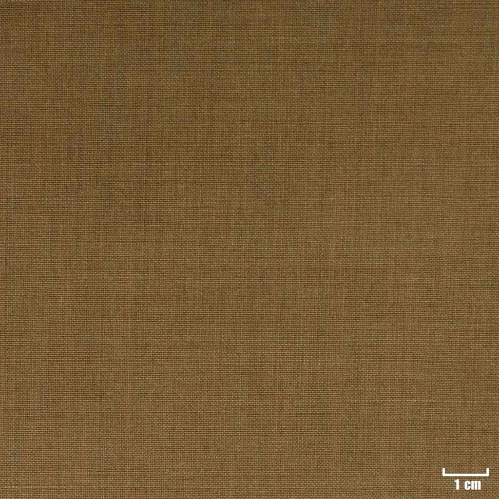 BROWN, PLAIN