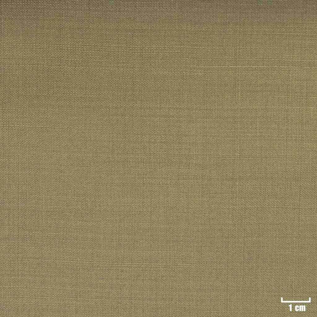 OLIVE, PLAIN