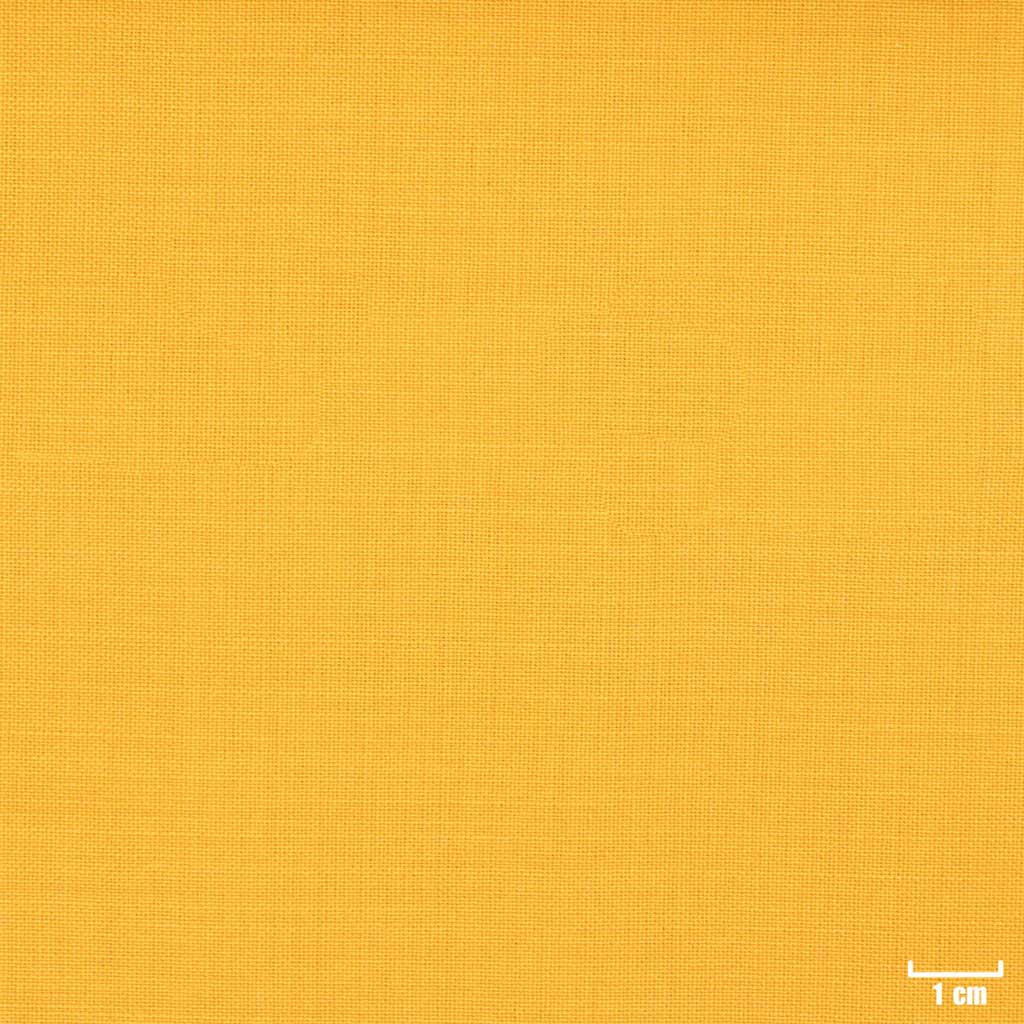 ORANGE, PLAIN