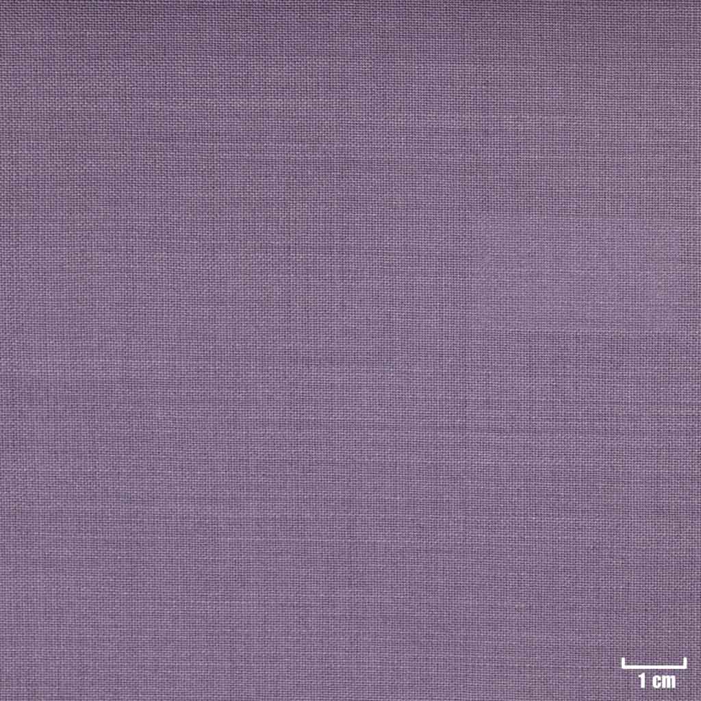 PURPLE, PLAIN