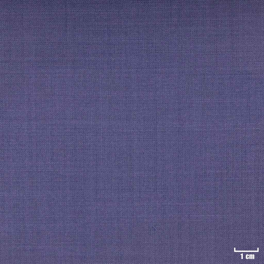 PURPLE, PLAIN