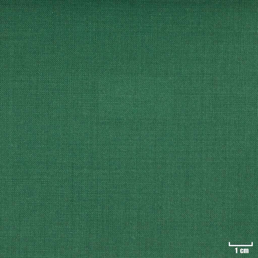 GREEN, PLAIN
