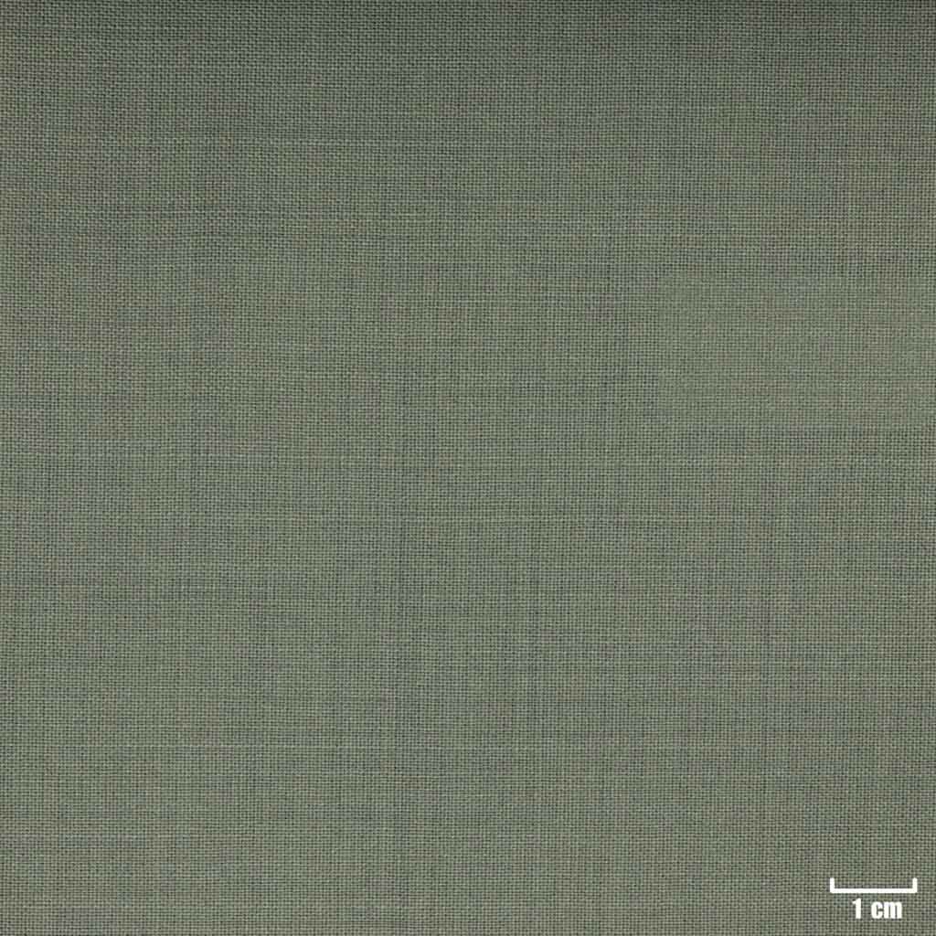 LIGHT OLIVE, PLAIN