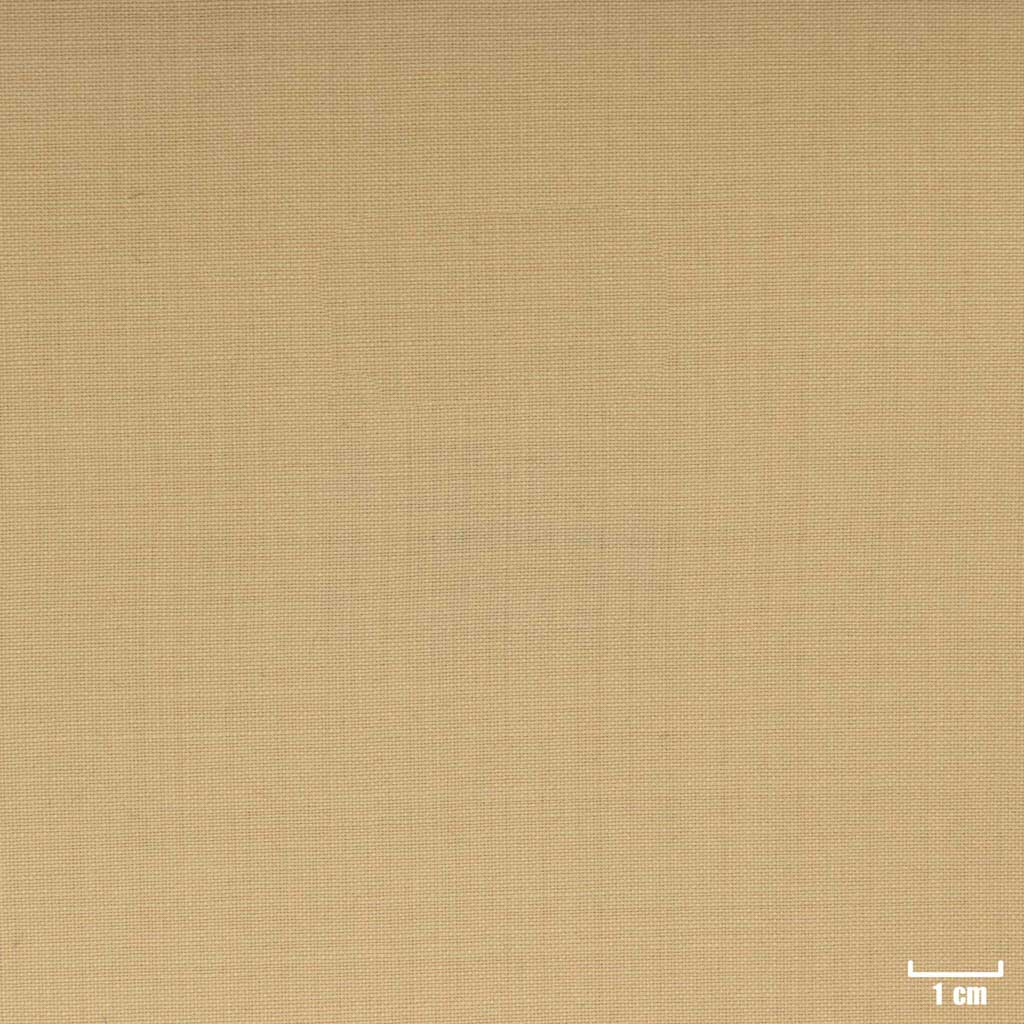 TAN, PLAIN