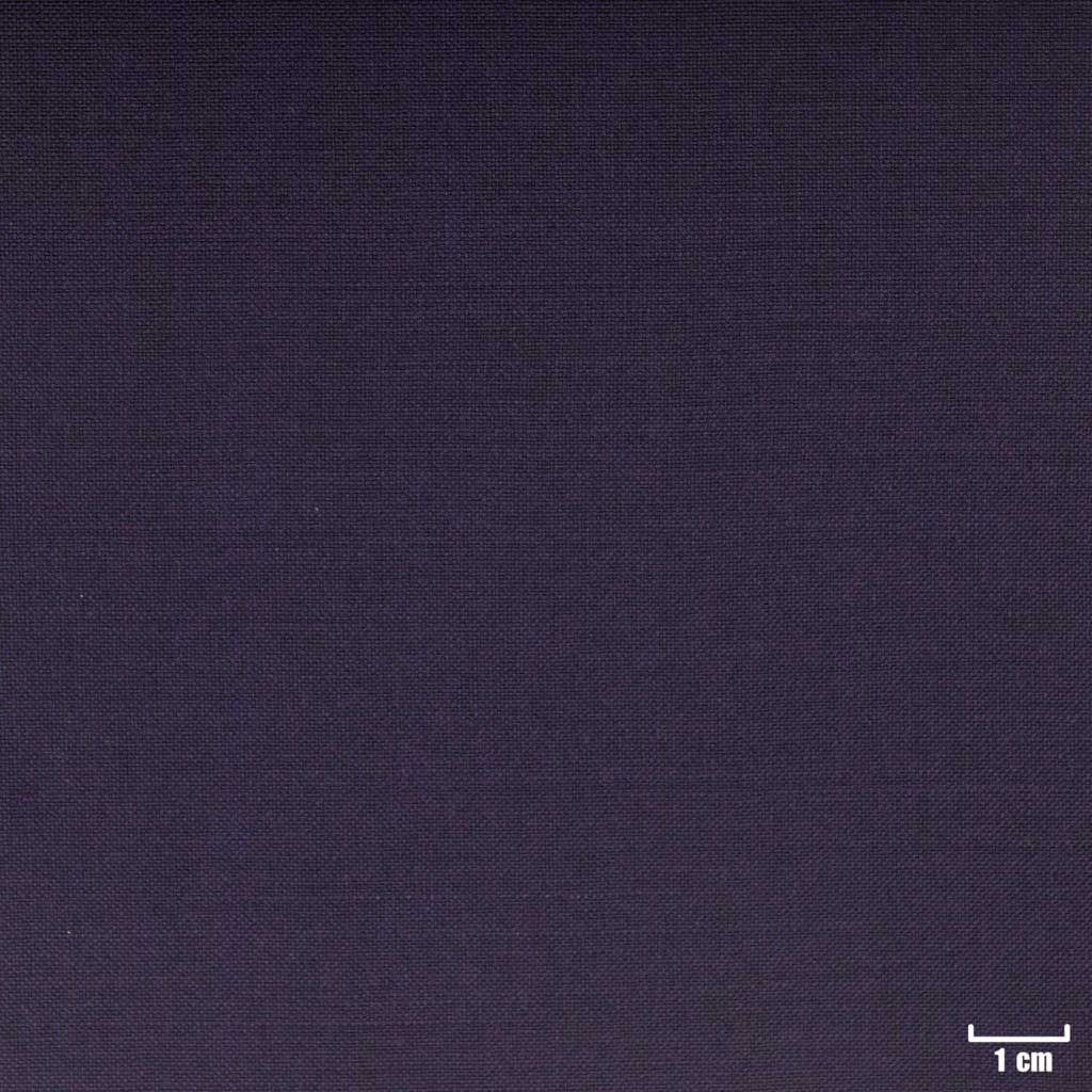 PURPLE, PLAIN