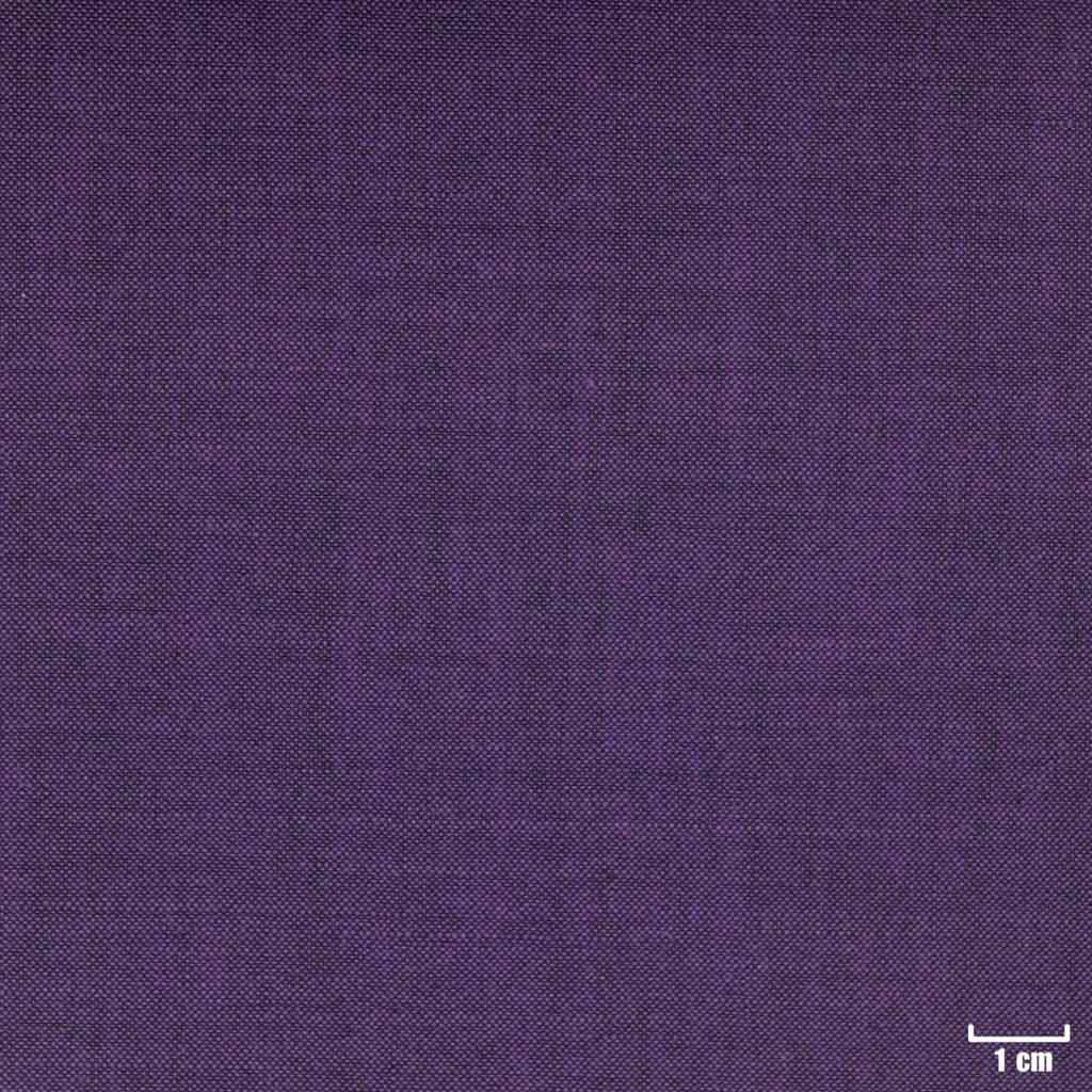 PURPLE, PLAIN