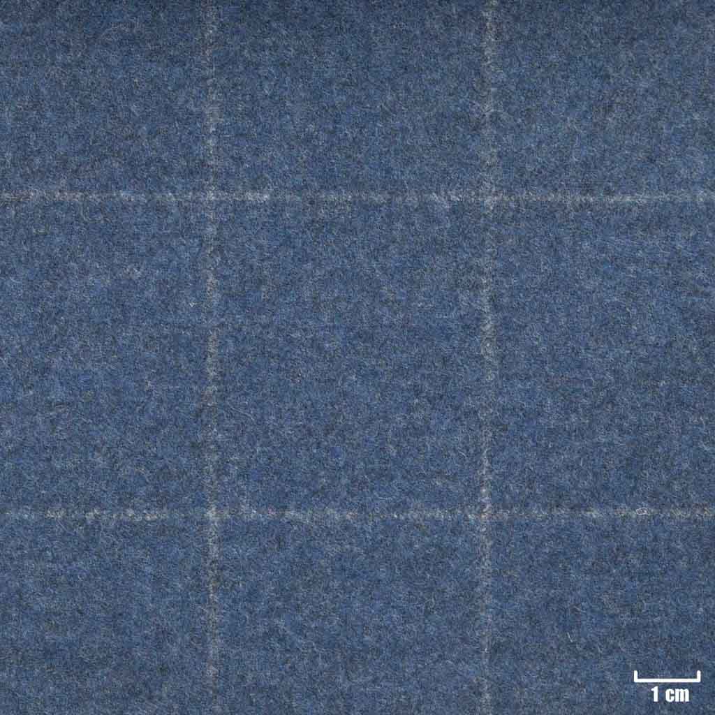 BLUE, CHECKS