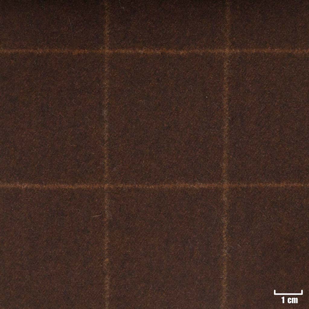 BROWN, CHECKS (ST# 22021)