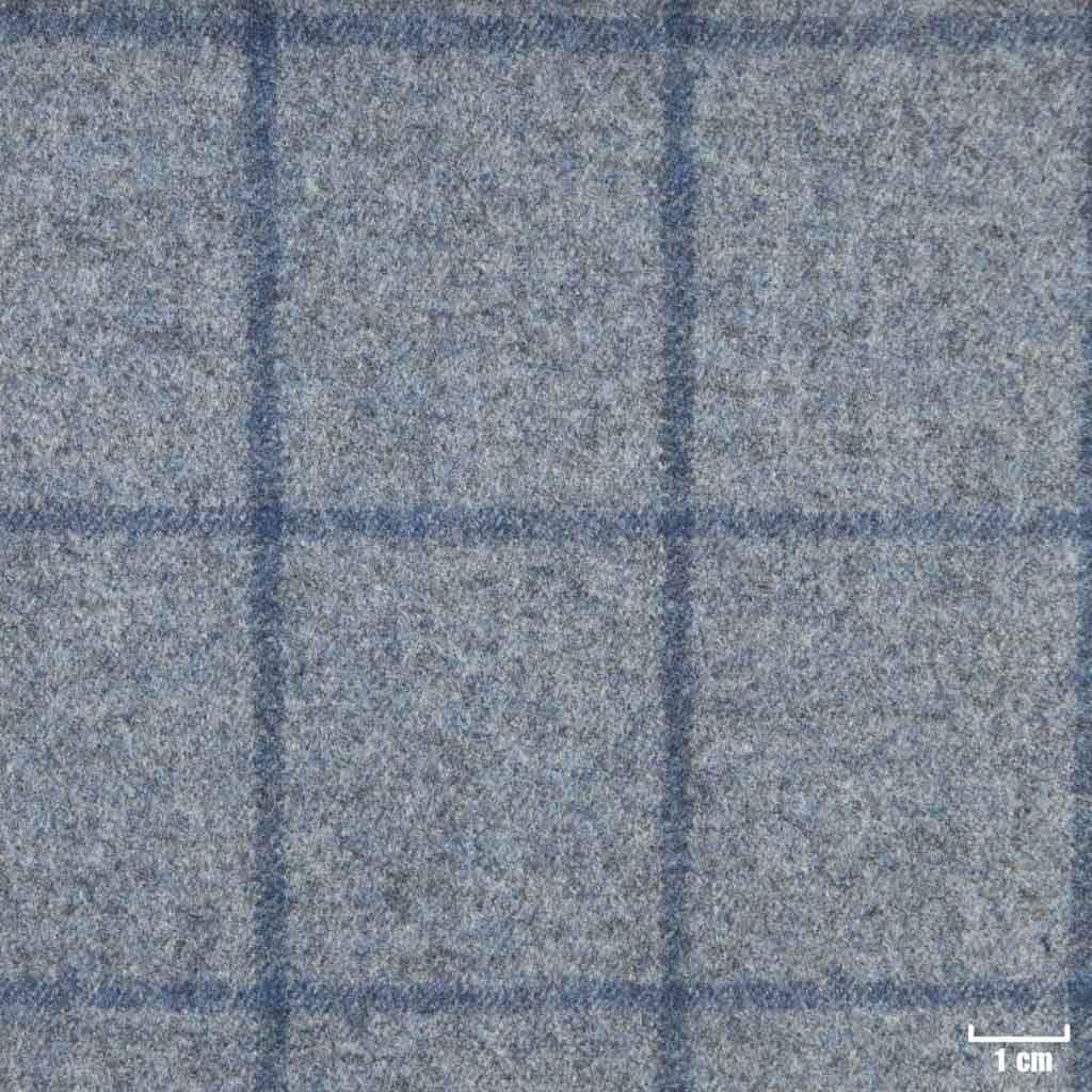 BLUE, CHECKS (ST# 22025)