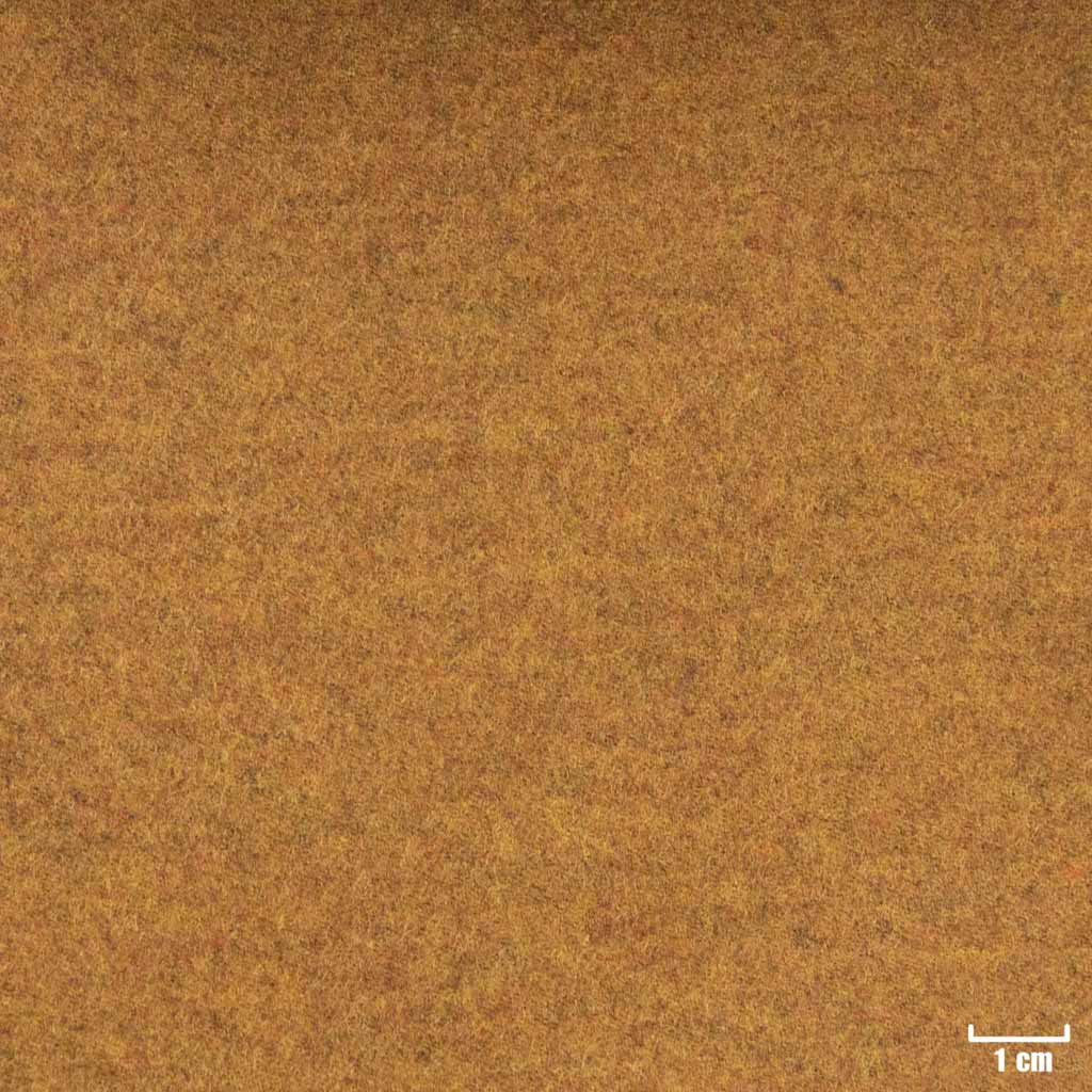 BROWN, PLAIN