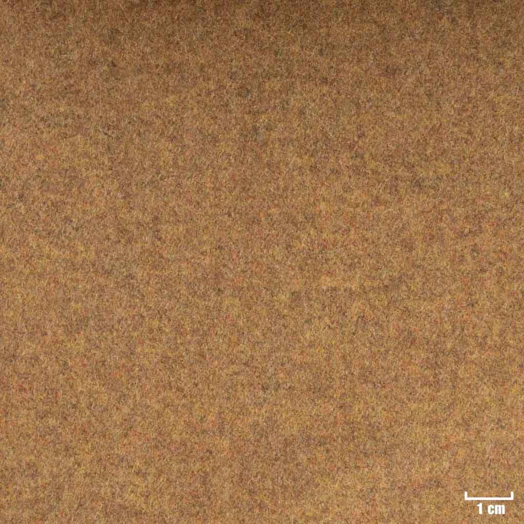 BROWN, PLAIN