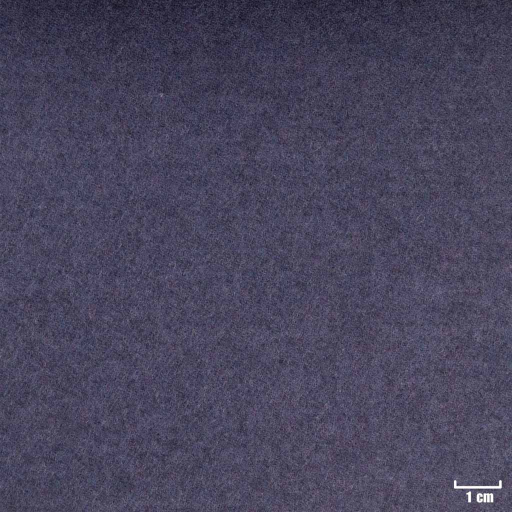PURPLE, PLAIN