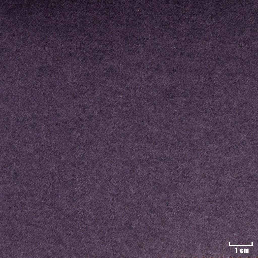 PURPLE, PLAIN
