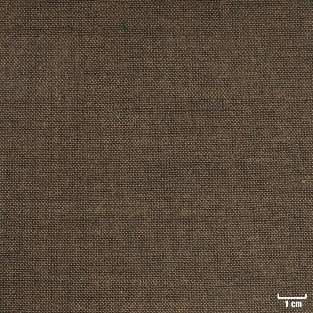 BROWN, PLAIN