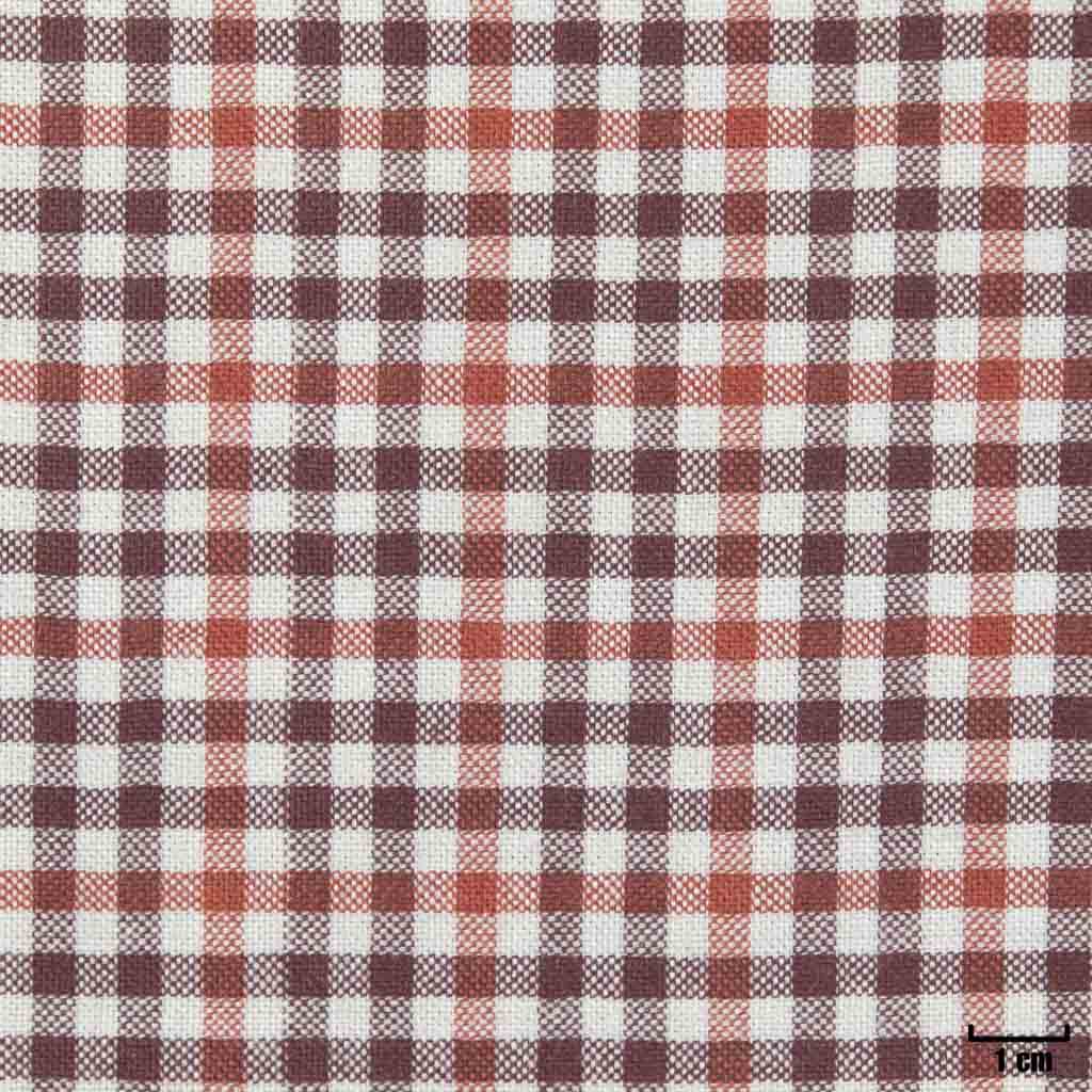 RED, CHECKS