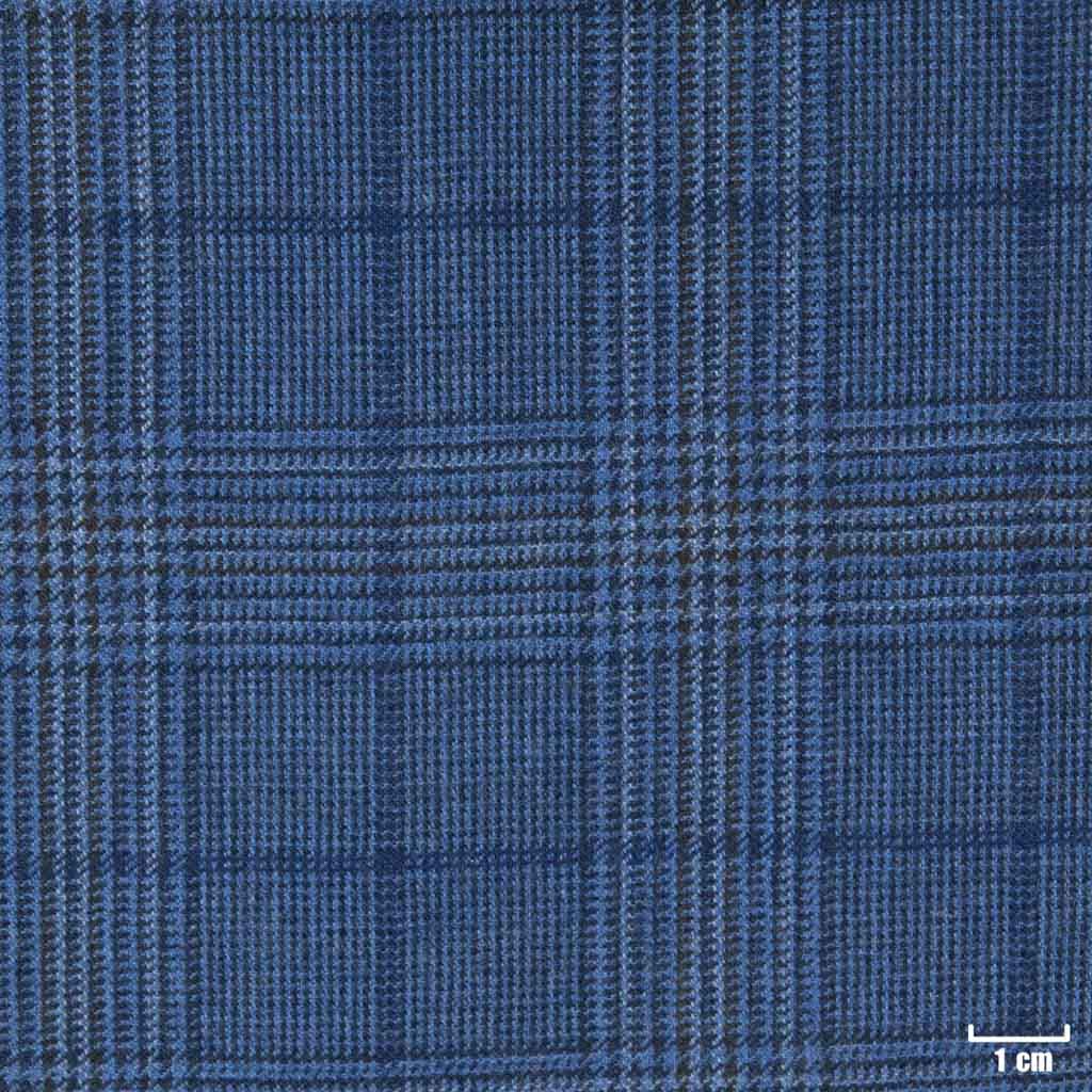 BLUE, CHECKS