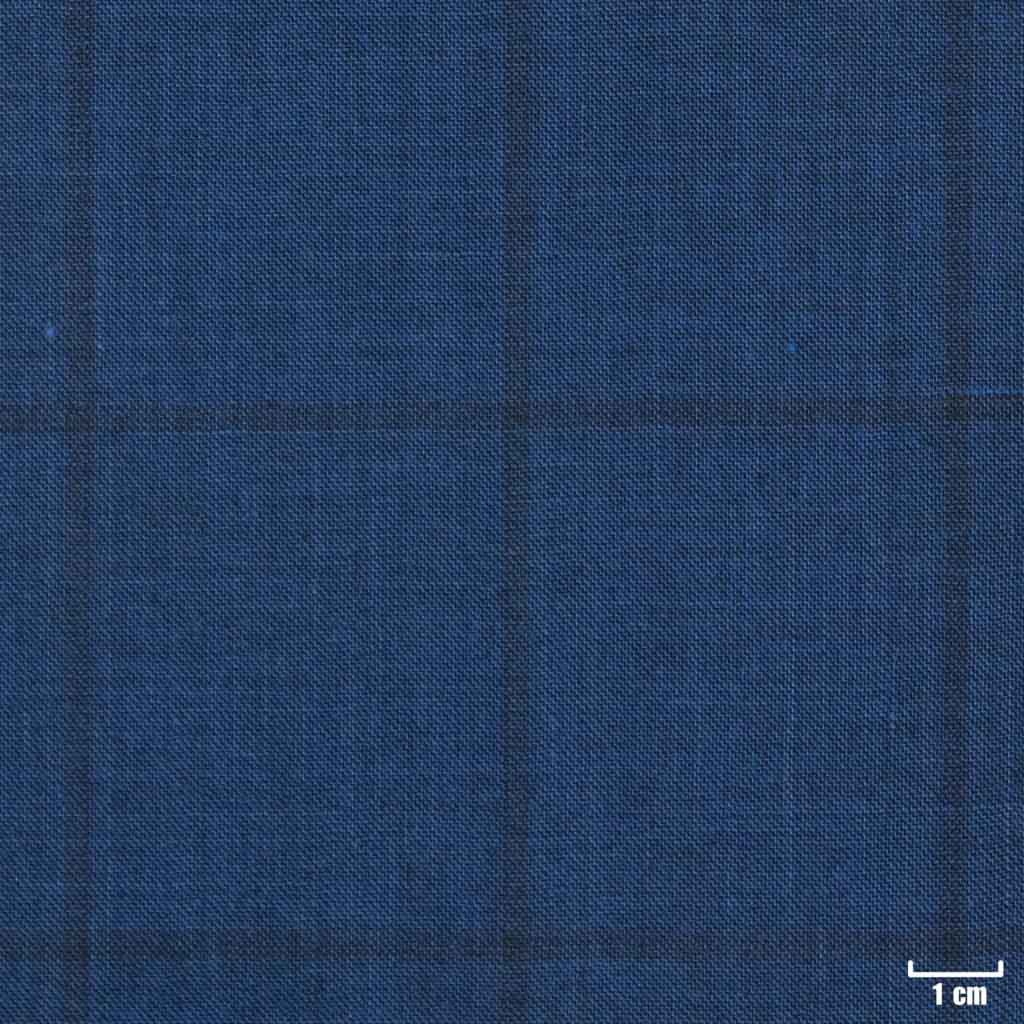 BLUE, CHECKS
