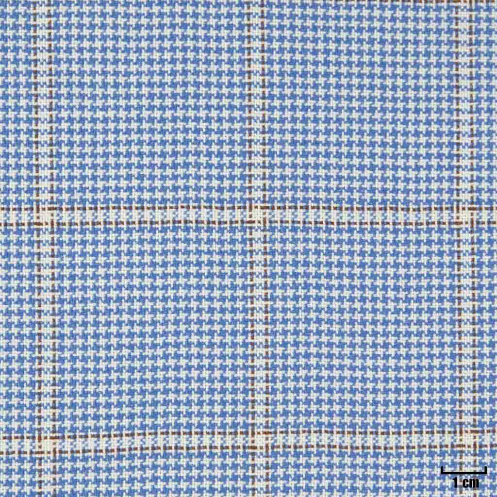 BLUE, CHECKS