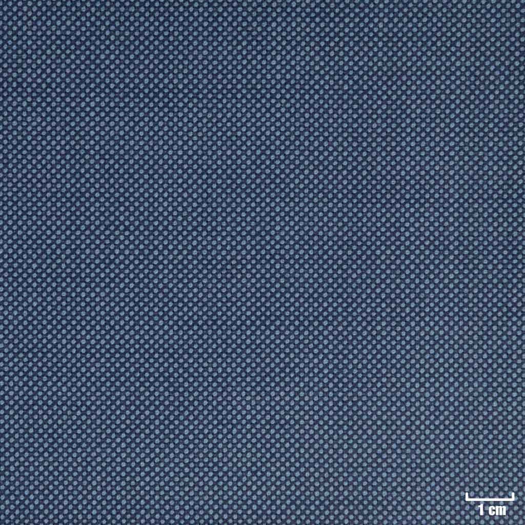 LIGHT BLUE, BIRDEYE