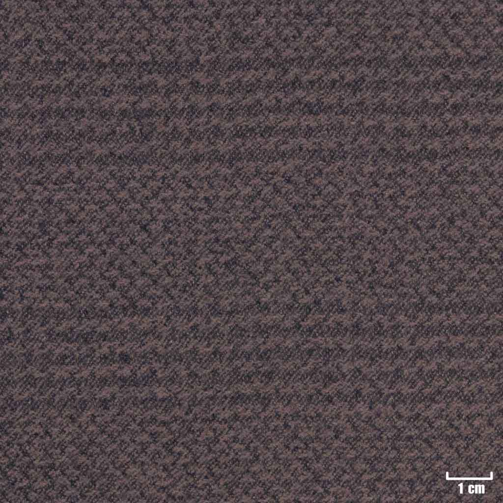 BROWN, CHECKS