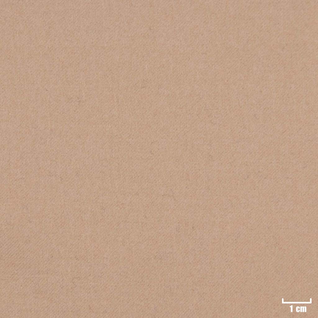 CAMEL, PLAIN