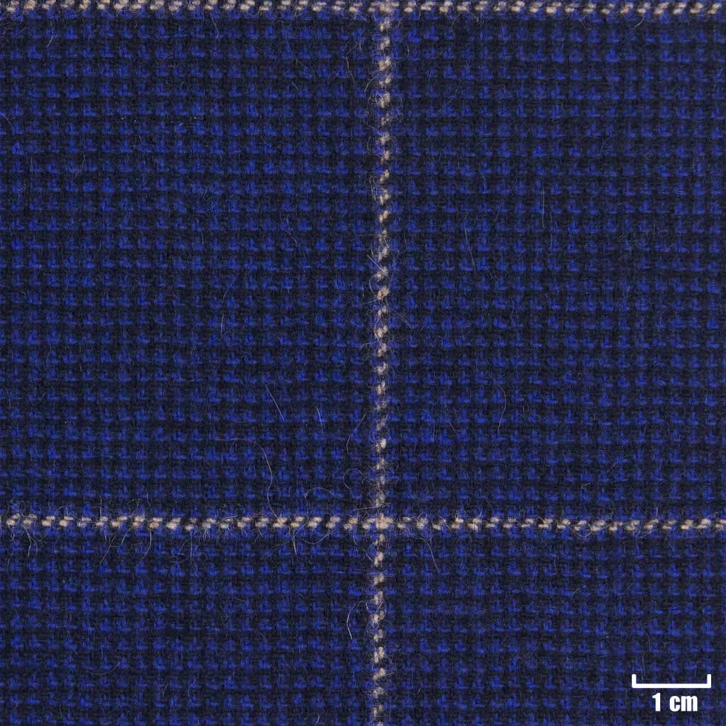 BLUE, CHECKS