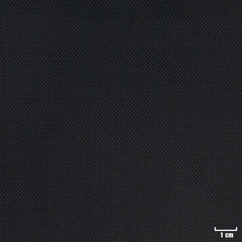 DARK BLUE, BIRDEYE