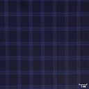 BLUE, SMALL CHECKS